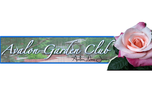 Avalon Garden Club